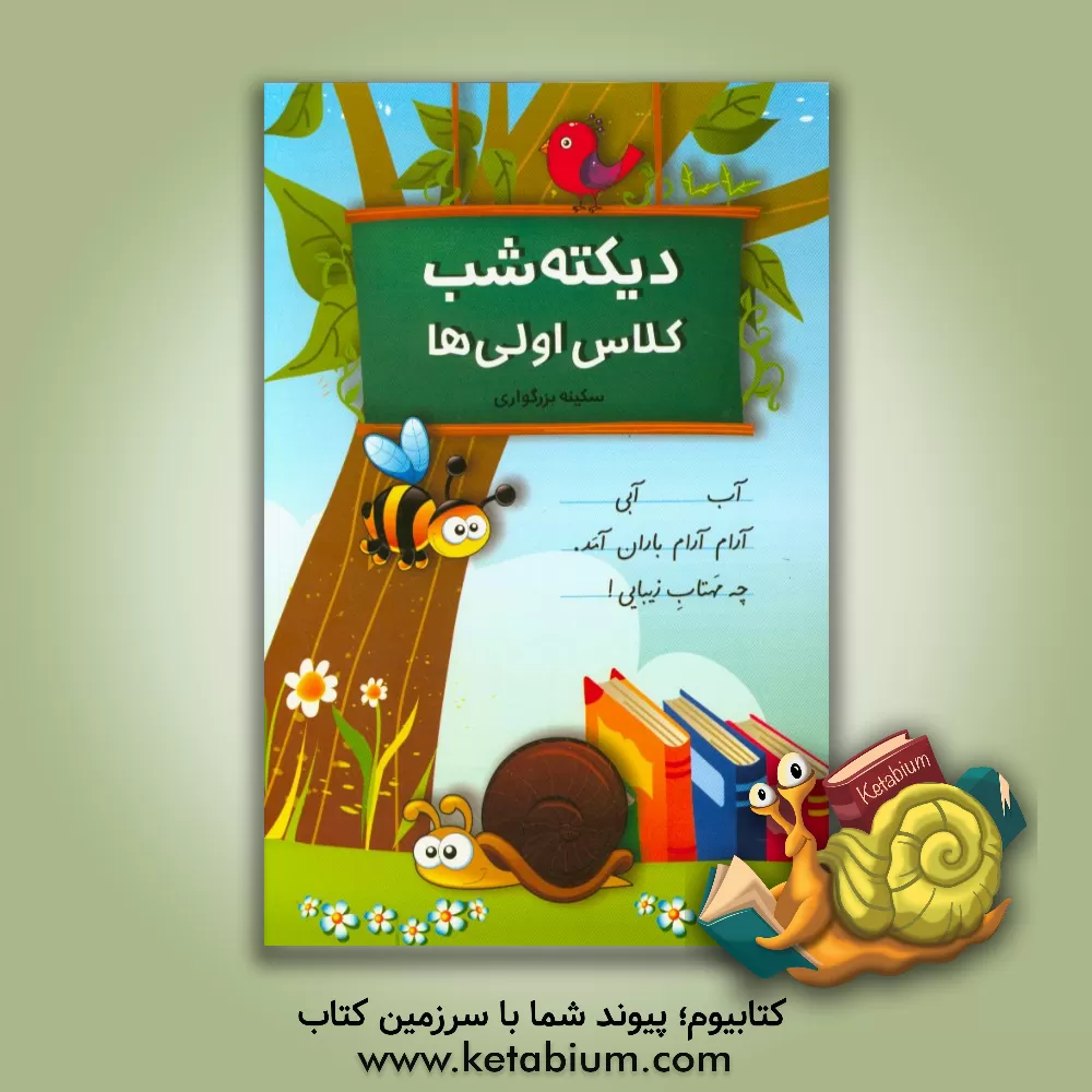 کتاب دیکته ی شب کلاس اولی ها |اثر سکینه بزرگواری