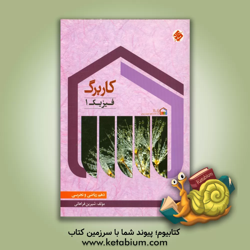 کتاب کاربرگ فیزیک (1) دهم (ریاضی و تجربی) اثر شیرین فراهانی