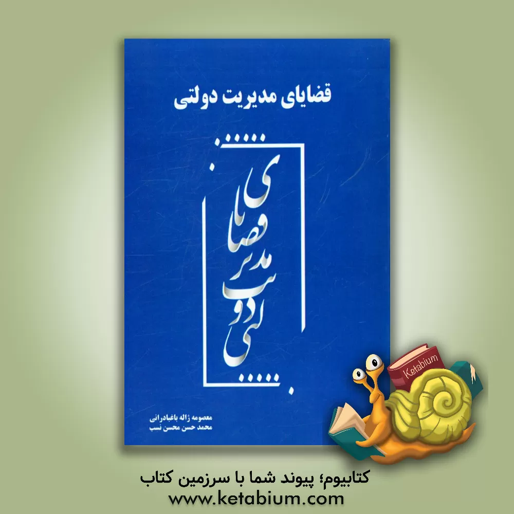 کتاب قضایای مدیریت دولتی اثر محمدحسن محسن‌نسب