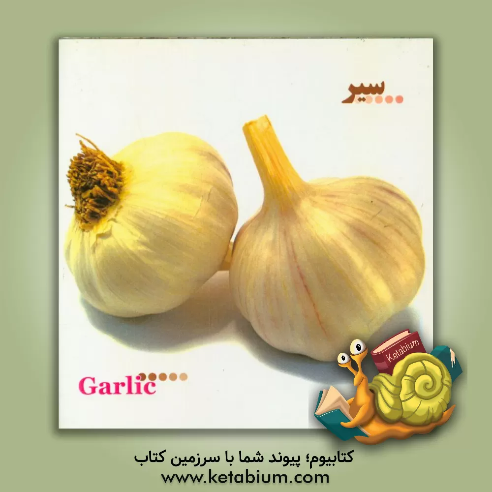 کتاب کارتهای تصویری آموزشی بین بین: سبزیجات اثر گروه طراحی گلدونه‌ها