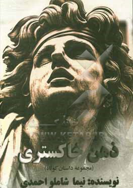 کتاب ذهن خاکستری (مجموعه داستان کوتاه) اثر نیما شاملواحمدی