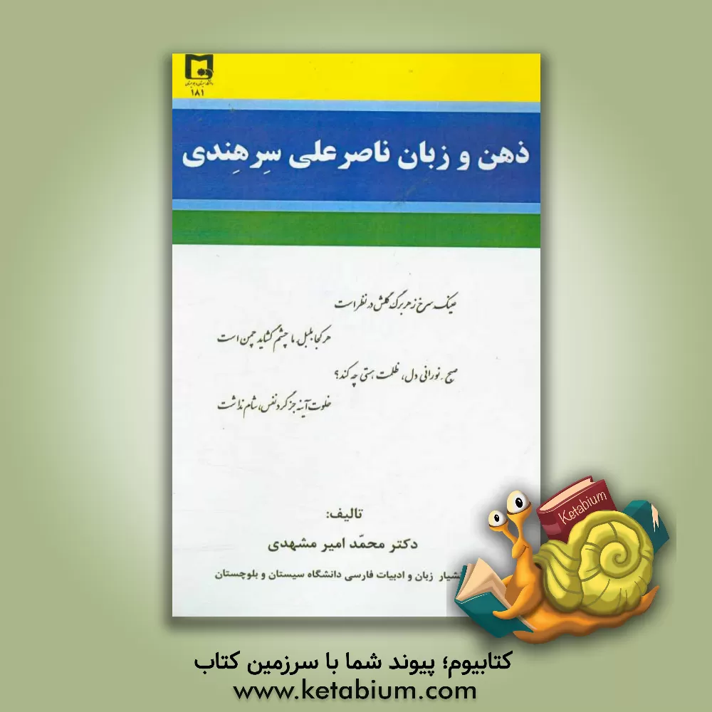 کتاب ذهن و زبان ناصرعلی سرهندی اثر محمدامیر مشهدی
