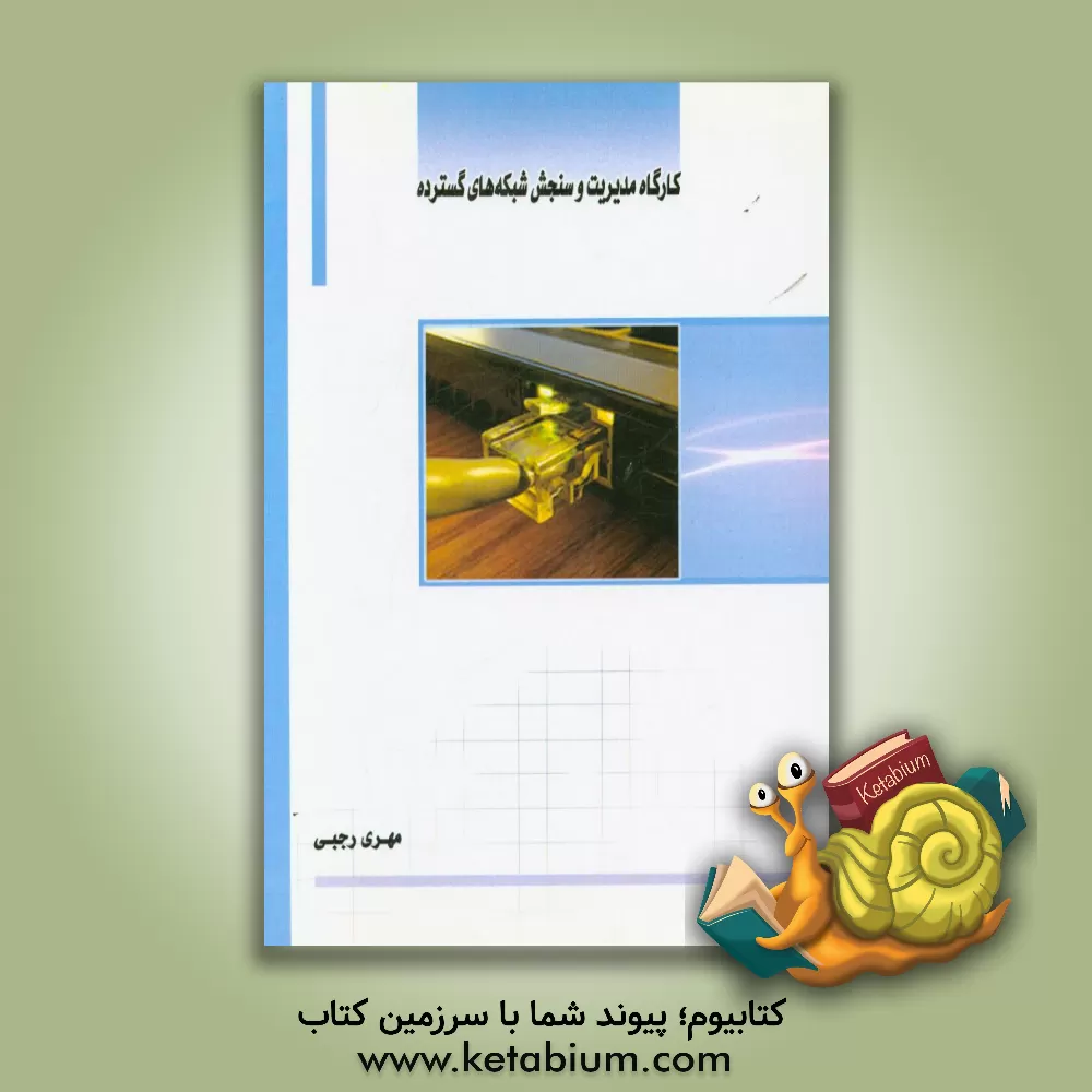 کتاب کارگاه مدیریت و سنجش شبکه های گسترده اثر مهری رجبی