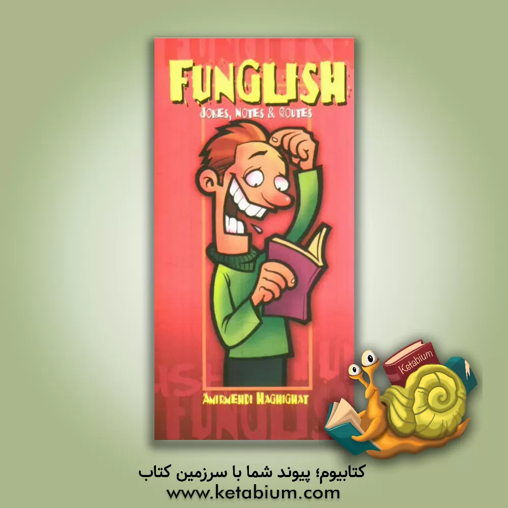 کتاب Funglish اثر امیرمهدی حقیقت