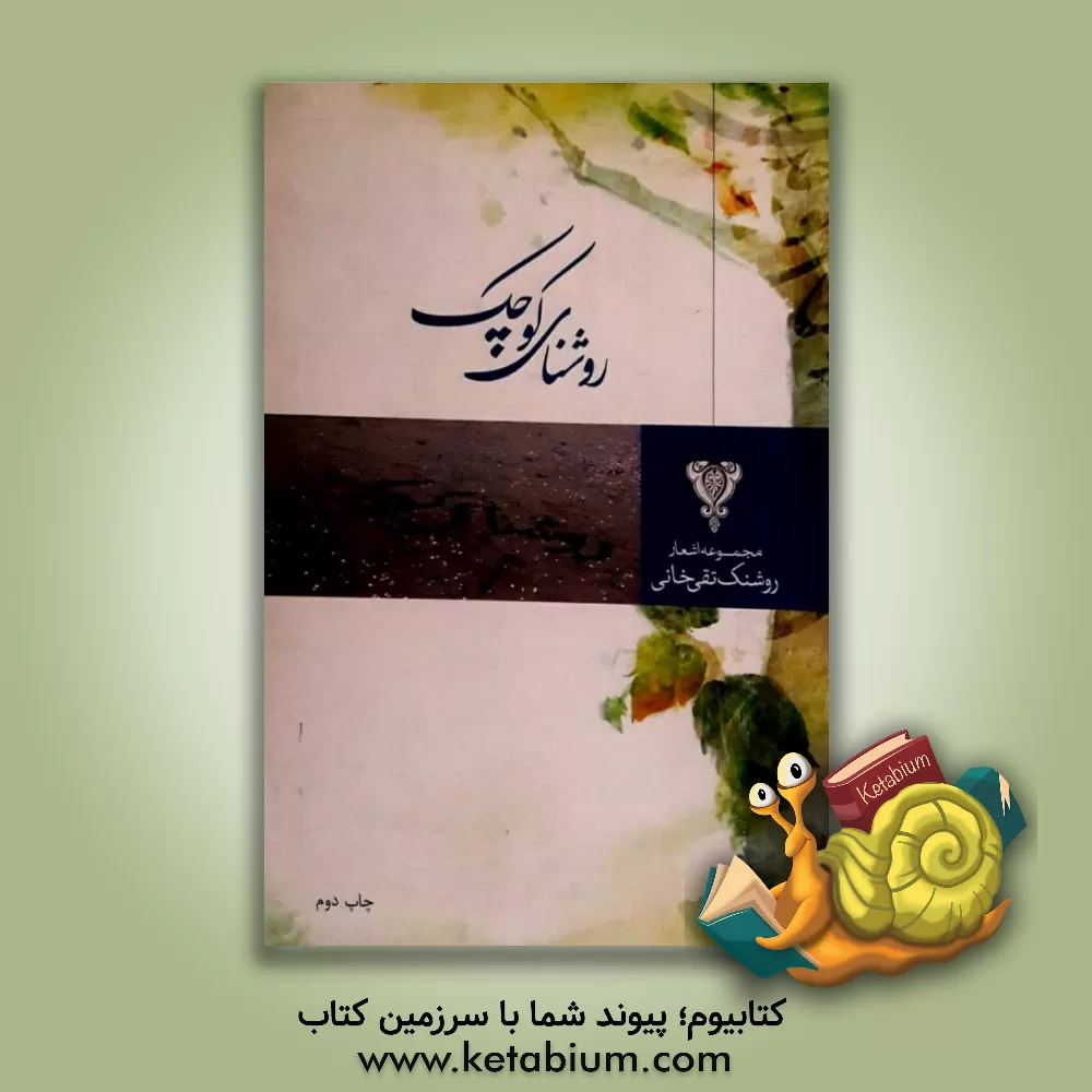 کتاب روشنای کوچک: مجموعه اشعار اثر روشنک تقی‌خانی