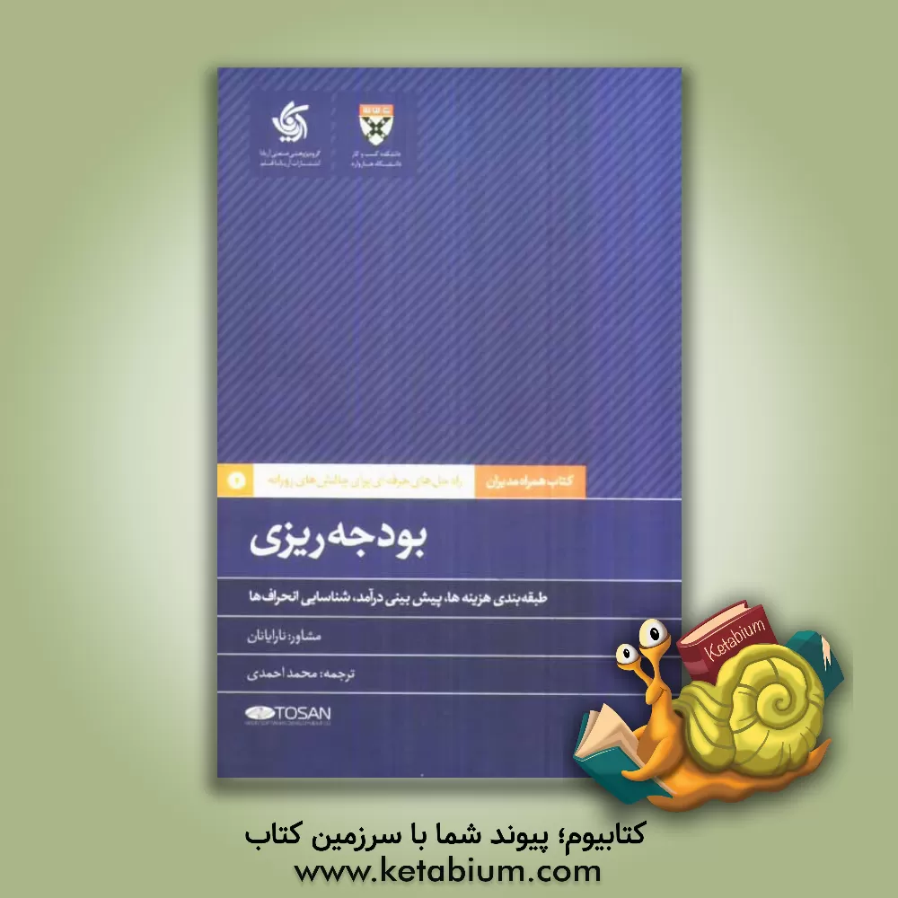 کتاب بودجه ریزی: راه حل های حرفه ای برای چالش های روزانه |اثر محمد احمدی