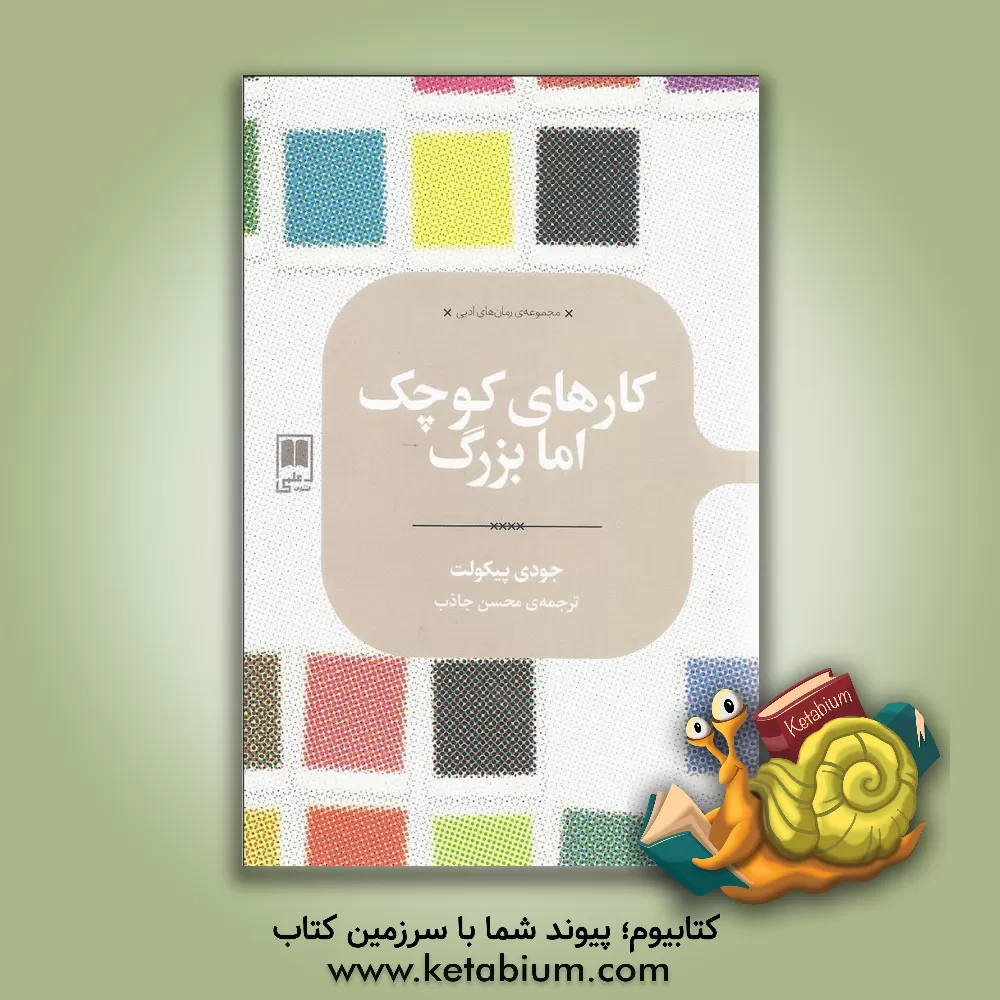 کتاب کارهای کوچک اما بزرگ اثر جودی پیکولت