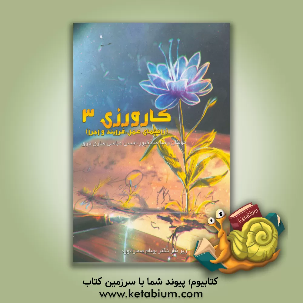 کتاب کارورزی سه (راهنمای عمل، فرآیند و اجرا) اثر حسن عباسی