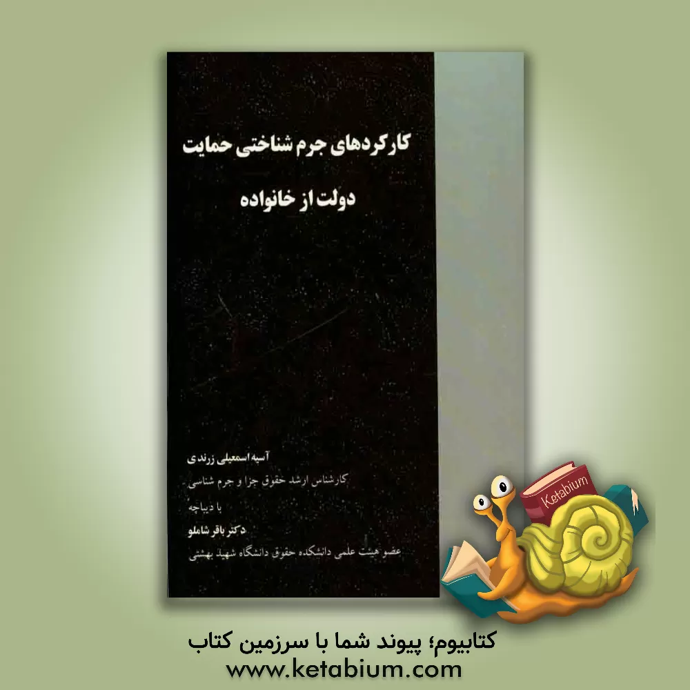 کتاب کارکردهای جرم شناختی حمایت دولت از خانواده اثر آسیه اسمعیلی‌زرندی