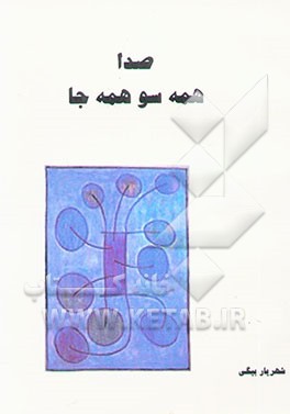 کتاب صدا همه سو همه جا اثر شهریار بیگی