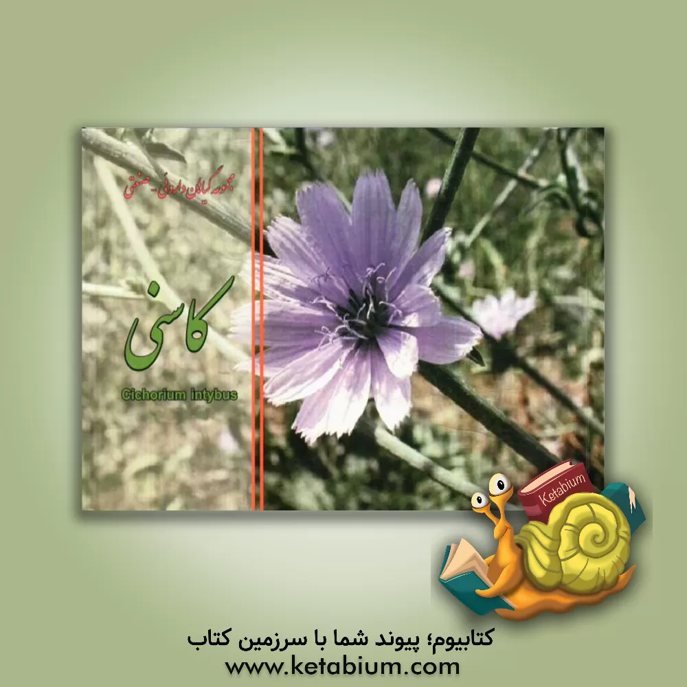 کتاب کاسنی = Cichorium intybus اثر مهدی عماد