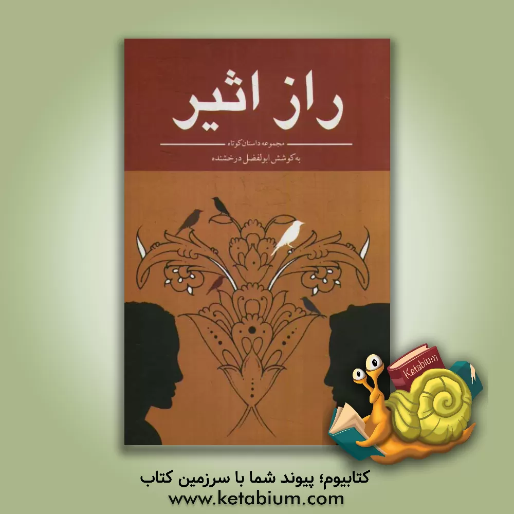 کتاب راز اثیر اثر ابوالفضل درخشنده