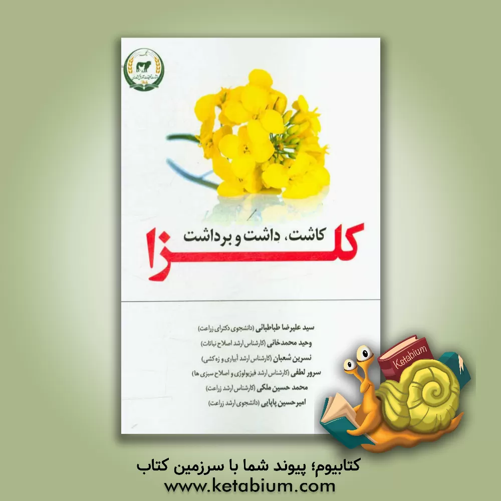 کتاب کاشت، داشت و برداشت کلزا‏‫ اثر وحید محمدخانی