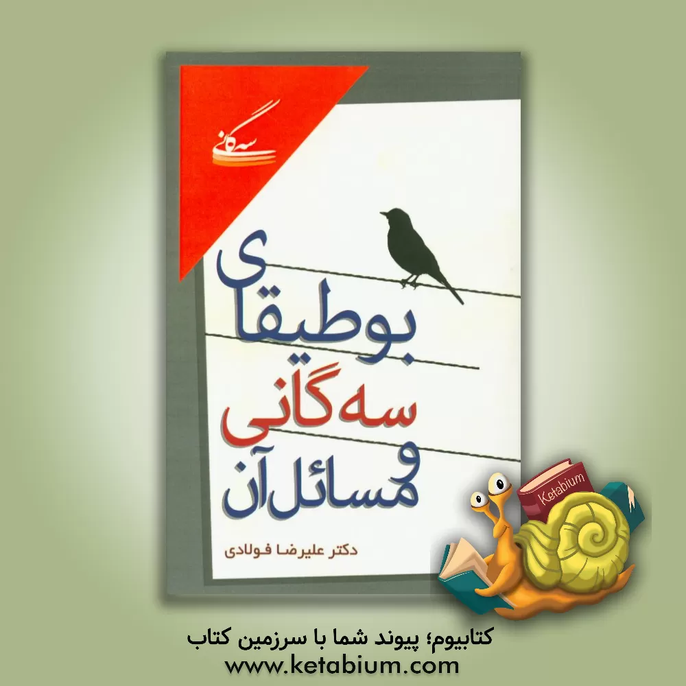 کتاب بوطیقای سه گانی و مسائل آن |اثر علیرضا فولادی