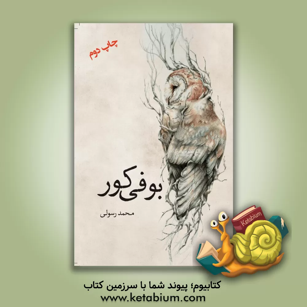 کتاب بوفی کور اثر محمد رسولی