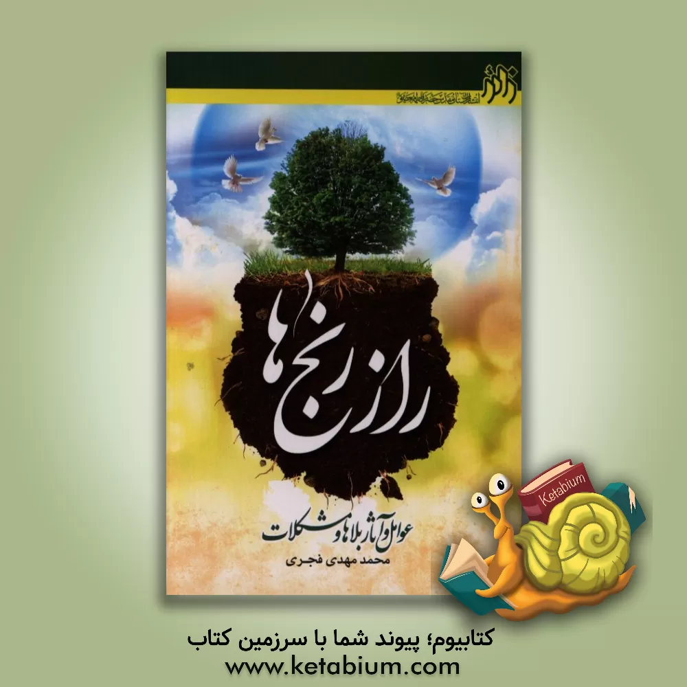 کتاب راز رنج ها: عوامل و آثار بلاها و مشکلات اثر محمدمهدی فجری