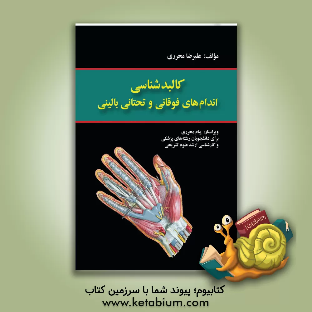 کتاب کالبدشناسی اندام های فوقانی و تحتانی بالینی برای دانشجویان رشته های: پزشکی و کارشناسی ارشد علوم تشریحی اثر علیرضا محرری