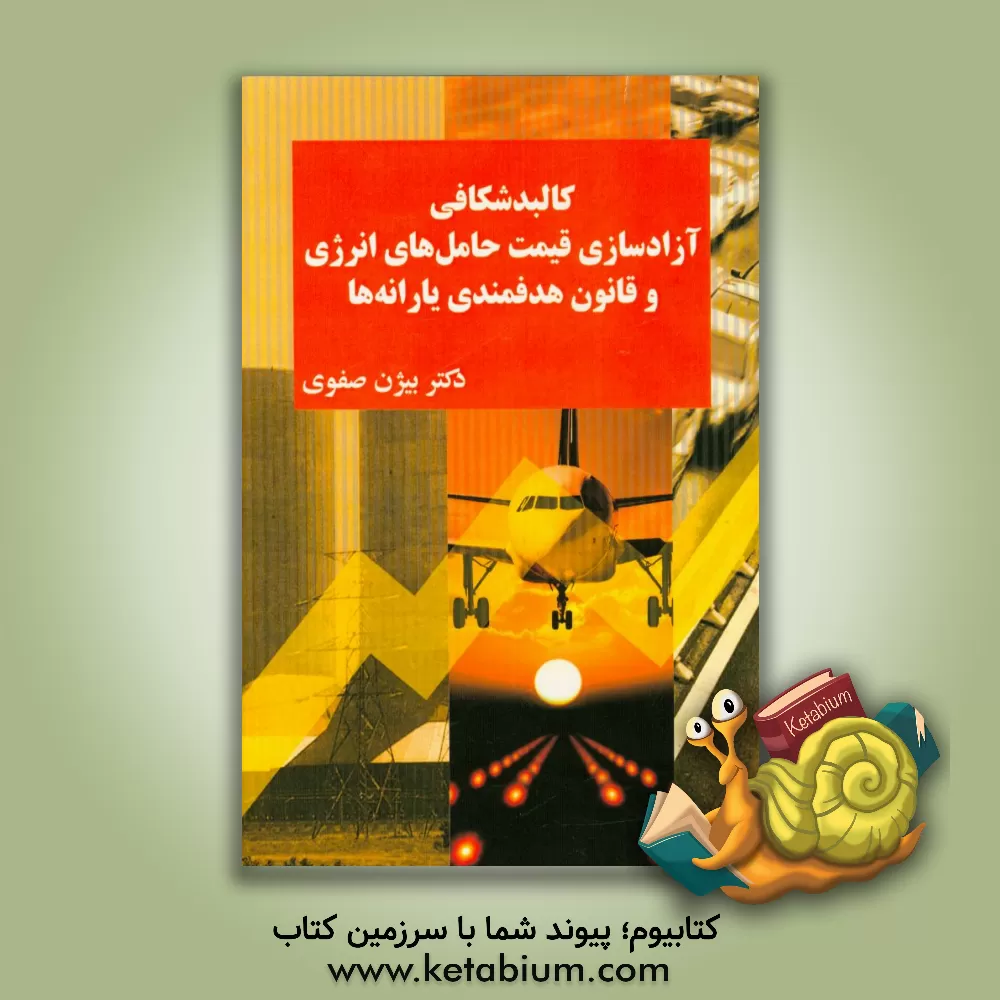 کتاب کالبدشکافی آزادسازی قیمت حامل های انرژی و قانون هدفمندی یارانه ها اثر بیژن صفوی