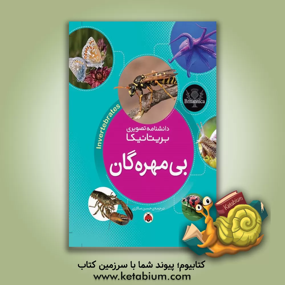 کتاب بی مهرگان |اثر حسن سالاری