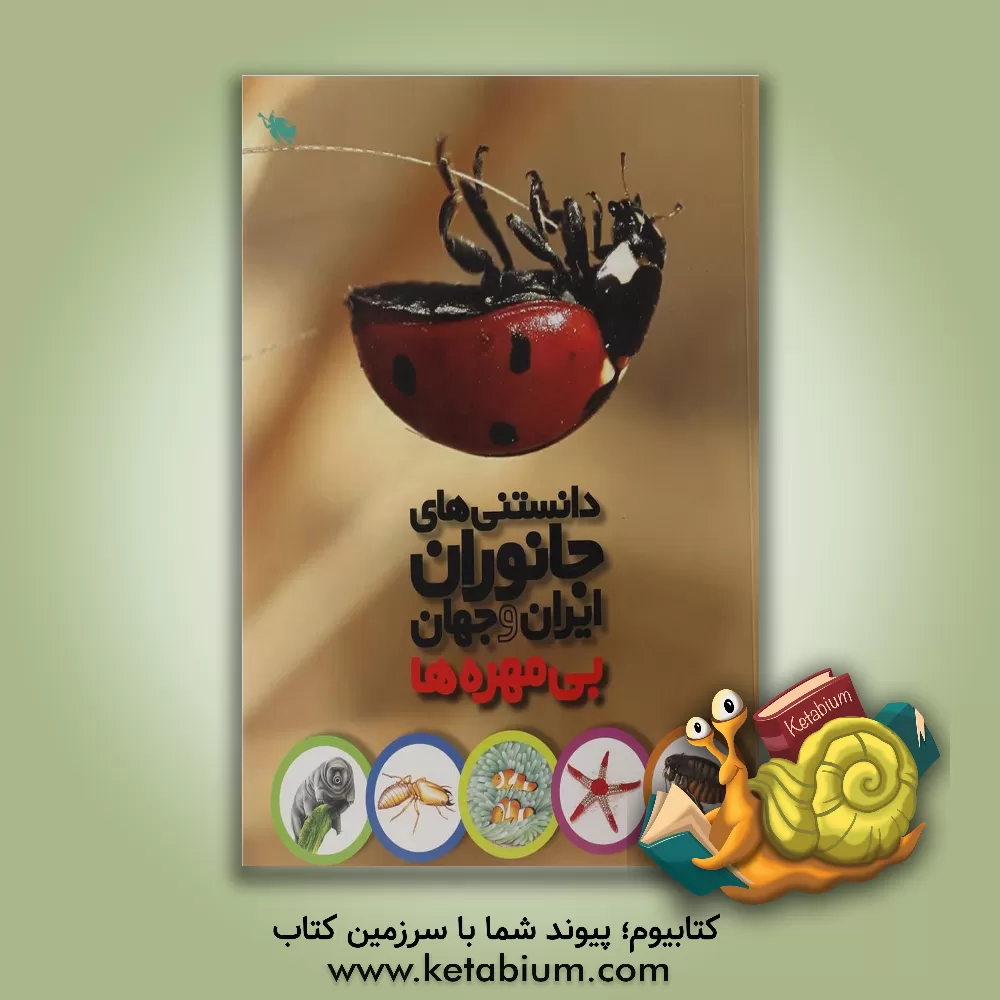 کتاب بی مهره ها |اثر محمد کرام الدینی