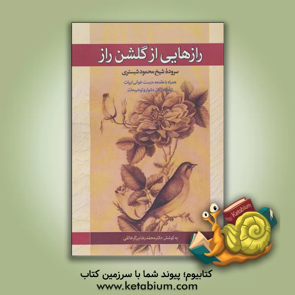 کتاب راز هایی از گلشن راز: همراه با مقدمه، درست خوانی ابیات، تلفظ واژگان دشوار و توضیحات اثر محمدرضا برزگر‌خالقی
