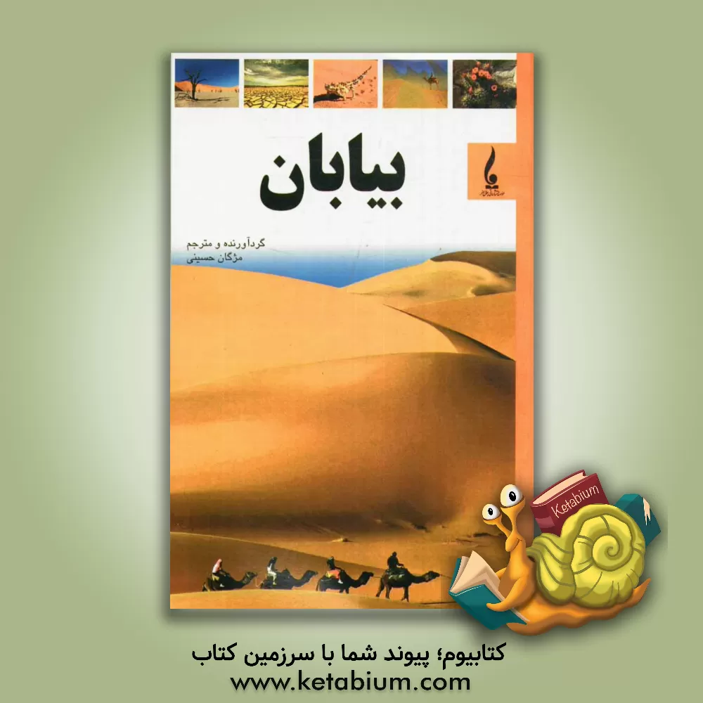 کتاب بیابان اثر مژگان حسینی
