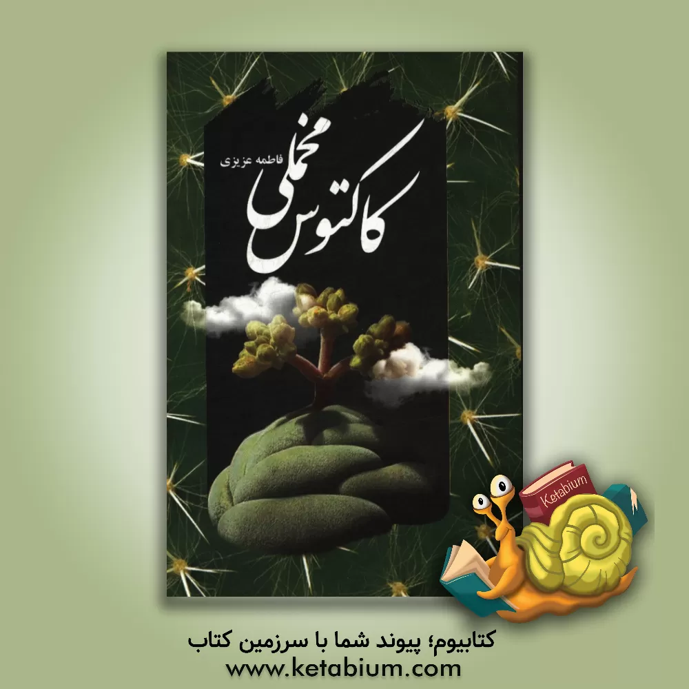 کتاب کاکتوس مخملی اثر فاطمه عزیزی