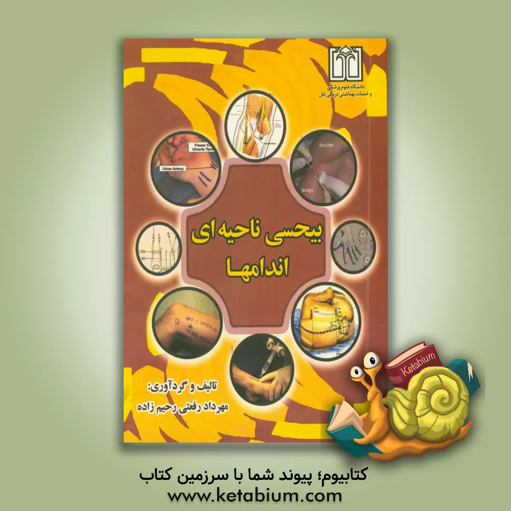 کتاب بیحسی ناحیه ای اندامها اثر مهرداد رفعتی‌رحیم‌زاده