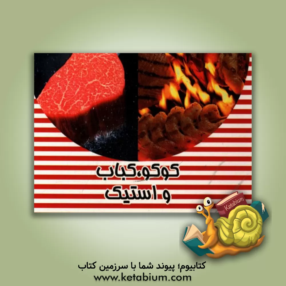 کتاب کباب ها اثر هدی رضوی