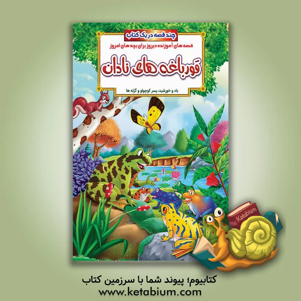 کتاب قورباغه های نادان و داستان های دیگر اثر حسین حبیبی