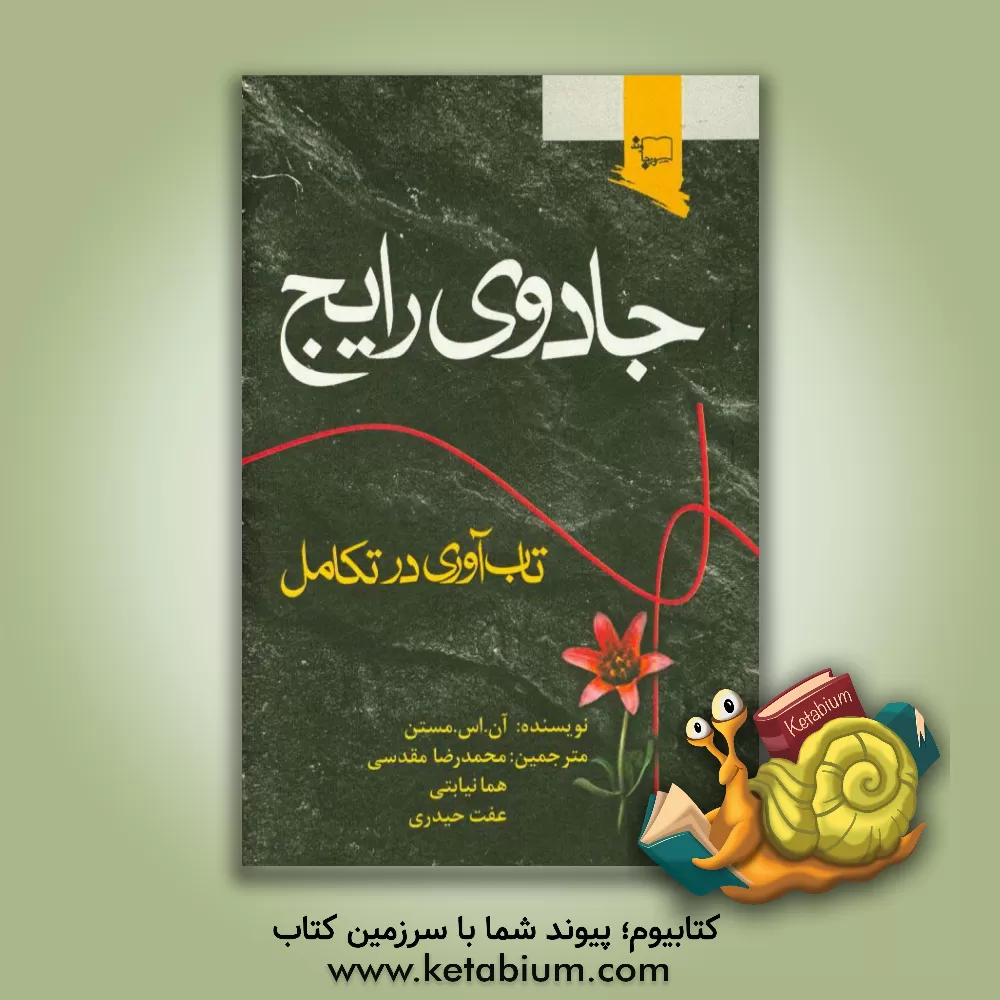 کتاب جادوی رایج: تاب آوری در تکامل اثر آن‌اس. مستن