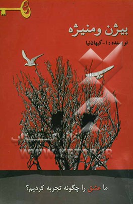 کتاب بیژن و منیژه: ماجرای فرار بیژن و منیژه از خانه اثر اصغر کیهان‌نیا