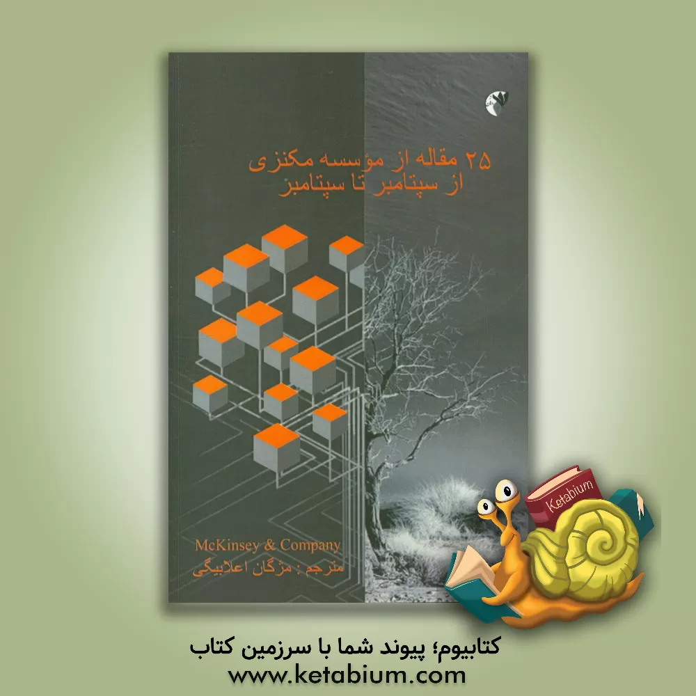 کتاب بیست و پنج مقاله از موسسه مکنزی از سپتامبر تا سپتامبر اثر مژگان اعلابیگی