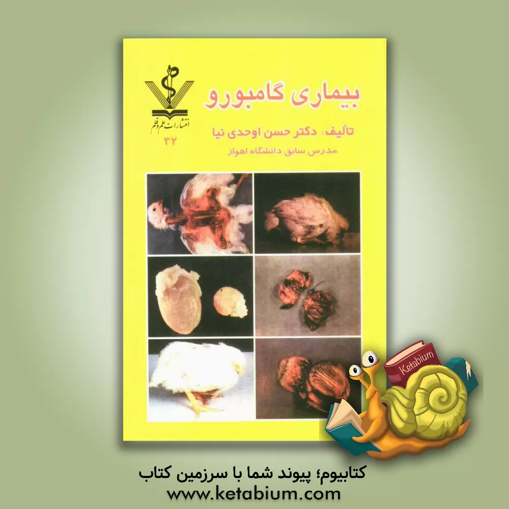 کتاب بیماری گامبورو اثر حسن اوحدی‌نیا