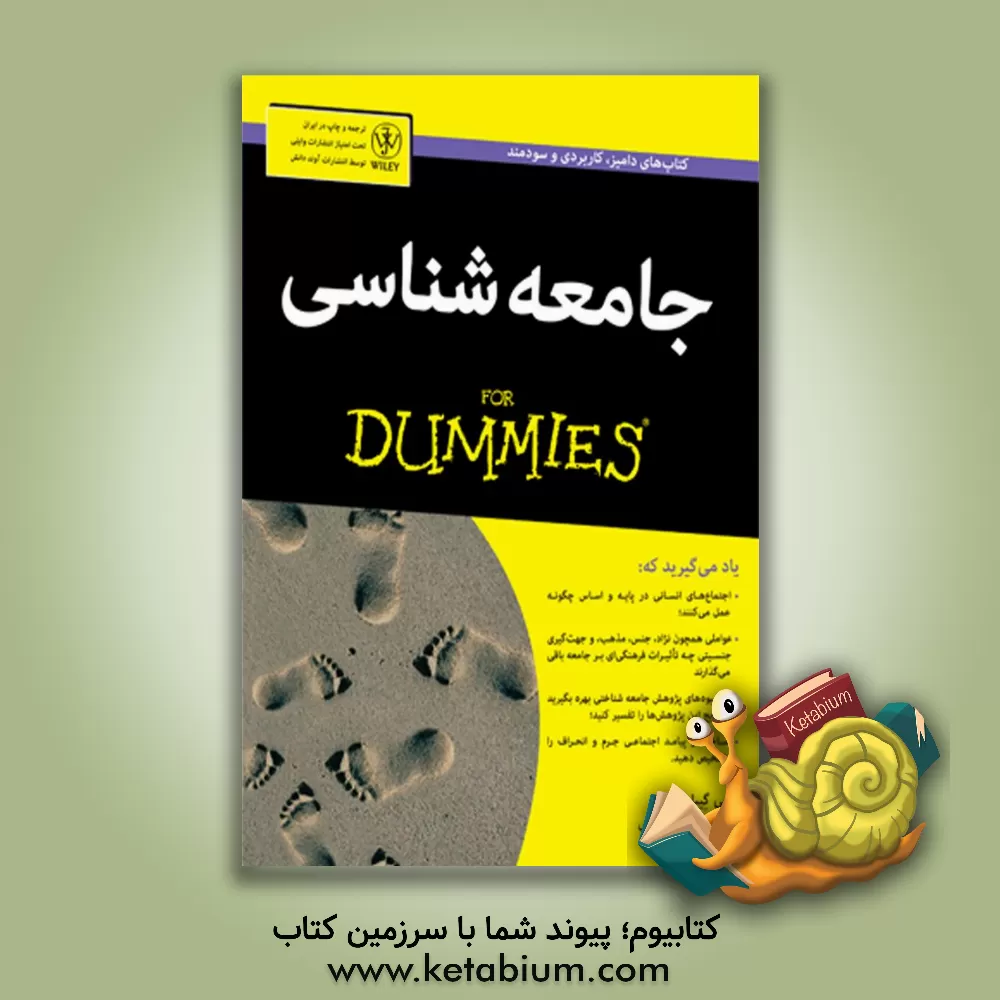 کتاب جامعه شناسی for dummies |اثر جی گبلر