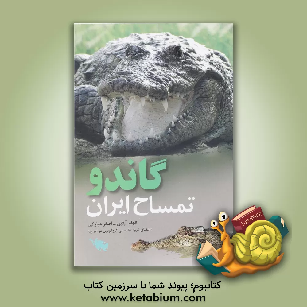 کتاب گاندو: تمساح ایران اثر اصغر مبارکی