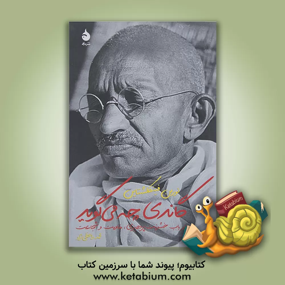 کتاب گاندی چه می گوید: در باب خشونت پرهیزی، مقاومت و شجاعت اثر نورمن فینکلشتاین