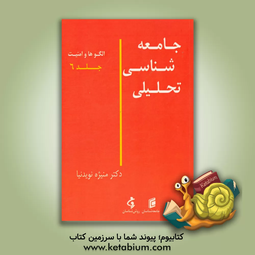 کتاب جامعه شناسی تحلیلی: الگوها و امنیت اثر منیژه نویدنیا