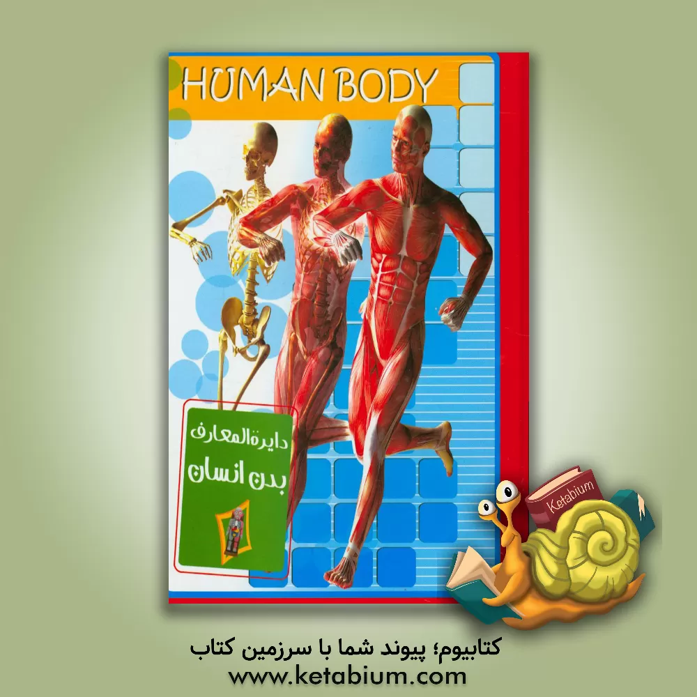 کتاب کتاب بدن انسان اثر زهرا مرادی