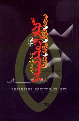 کتاب گذار از مدرنیته؟ نیچه، فوکو، لیوتار، دریدا اثر شاهرخ حقیقی