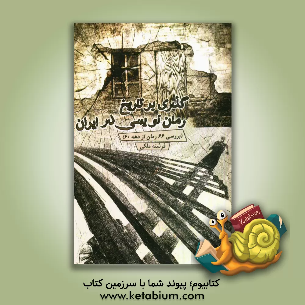 کتاب گذری بر تاریخ رمان نویسی در ایران: بررسی 66 رمان از دهه 60 اثر فرشته ملکی