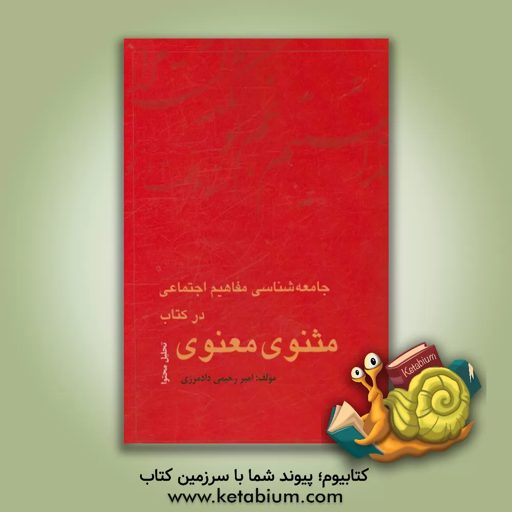 کتاب جامعه شناسی مفاهیم اجتماعی در کتاب مثنوی معنوی اثر امیر رحیمی‌دادمرزی