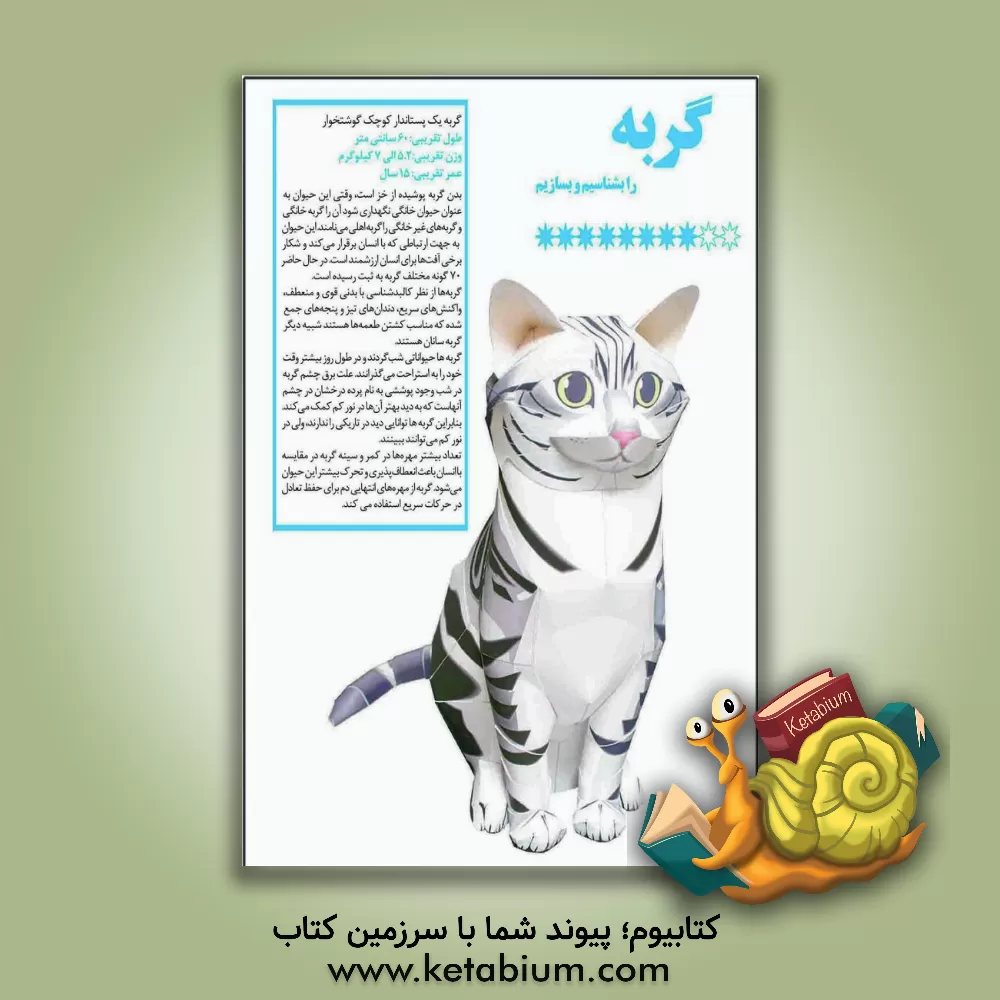 کتاب گربه را بشناسیم و بسازیم |اثر مهناز محمددوست