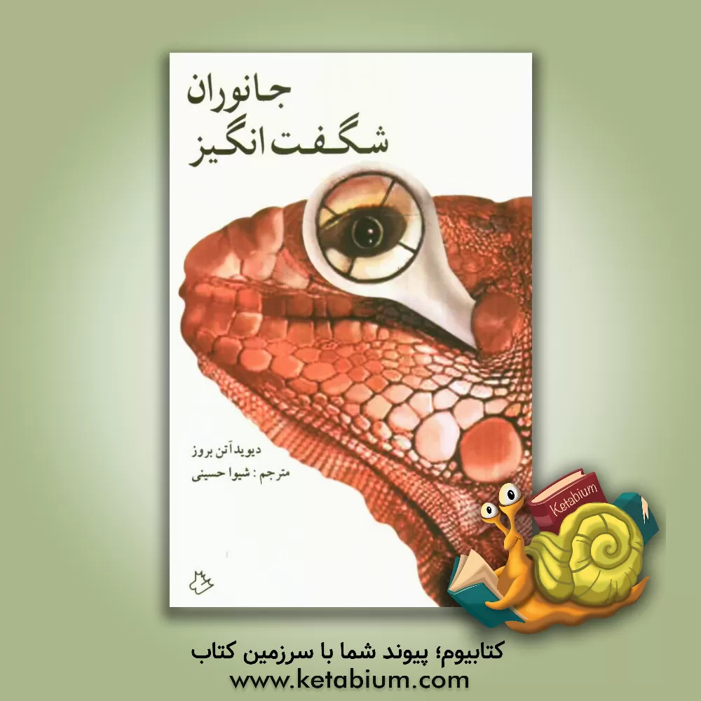 کتاب جانوران شگفت انگیز اثر مالی کاکس