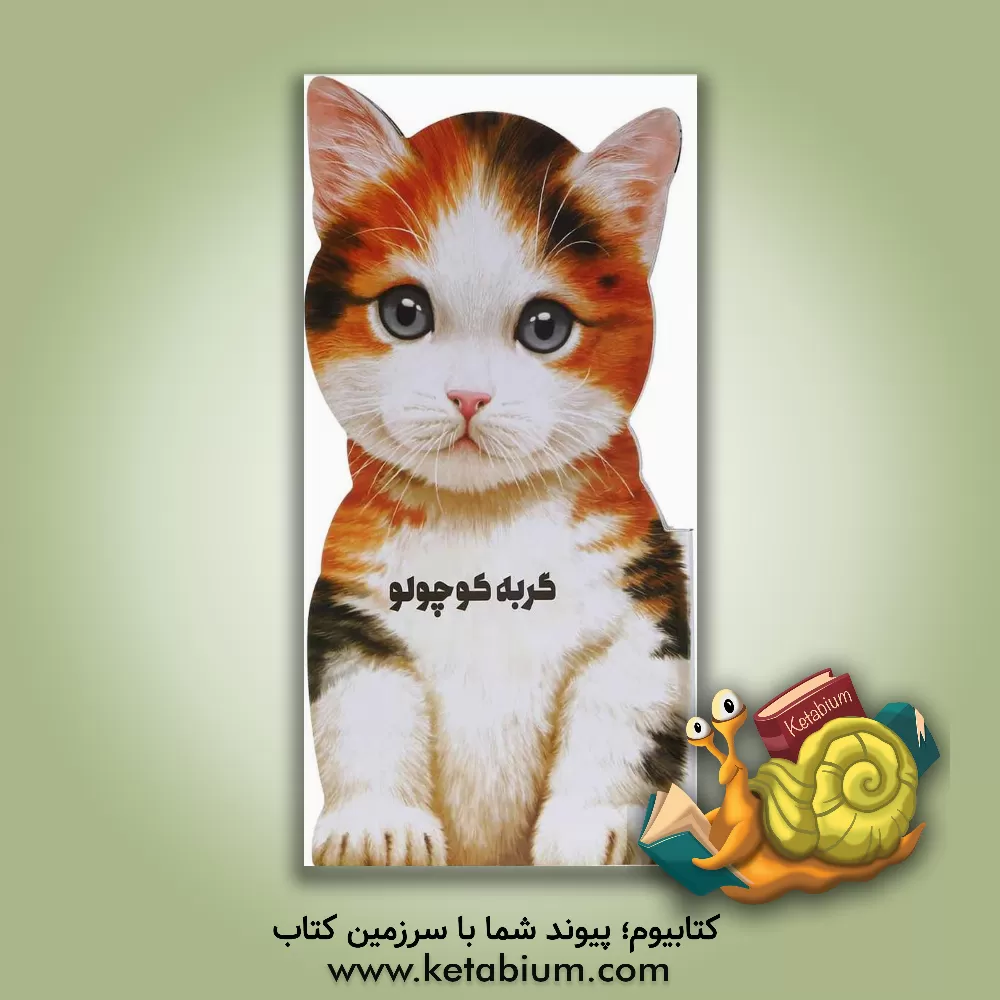 کتاب گربه کوچولو اثر جووانی کاویتسل