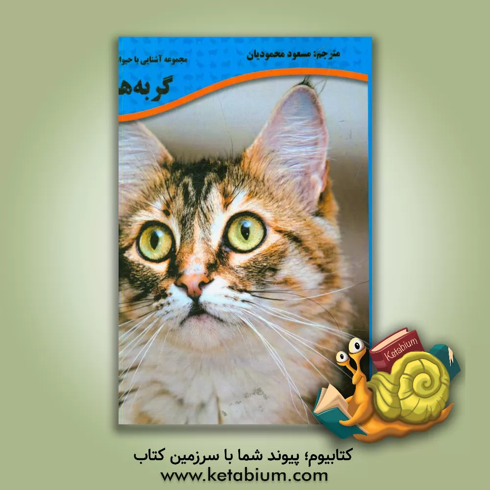 کتاب گربه ها اثر هالی‌ج اندرس