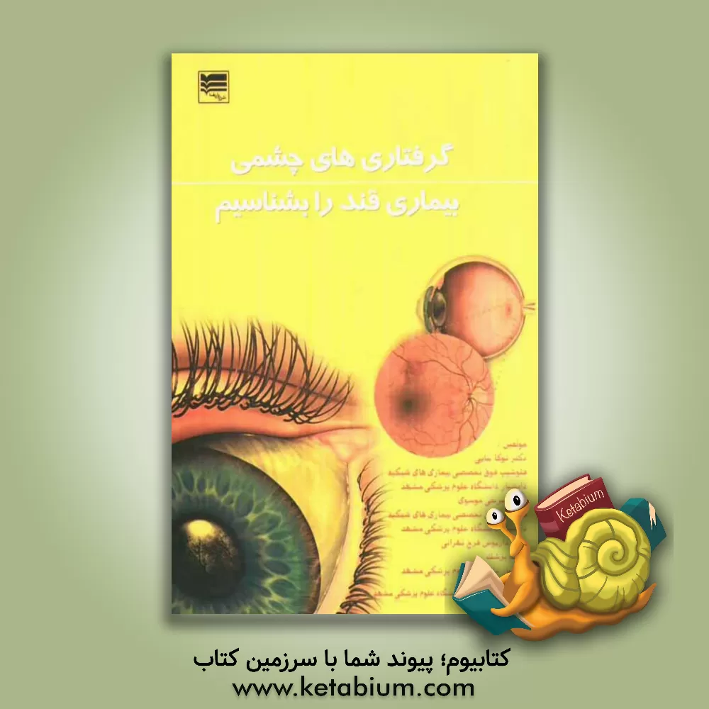 کتاب گرفتاری های چشمی: بیماری قند را بشناسیم اثر توکا بنایی