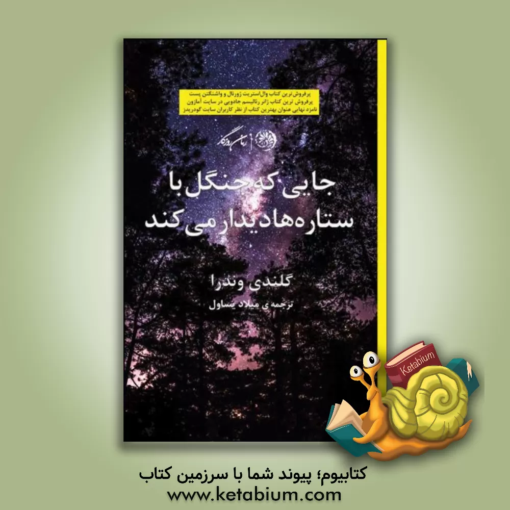 کتاب جایی که جنگل با ستاره ها دیدار می کند اثر گلندی وندرا