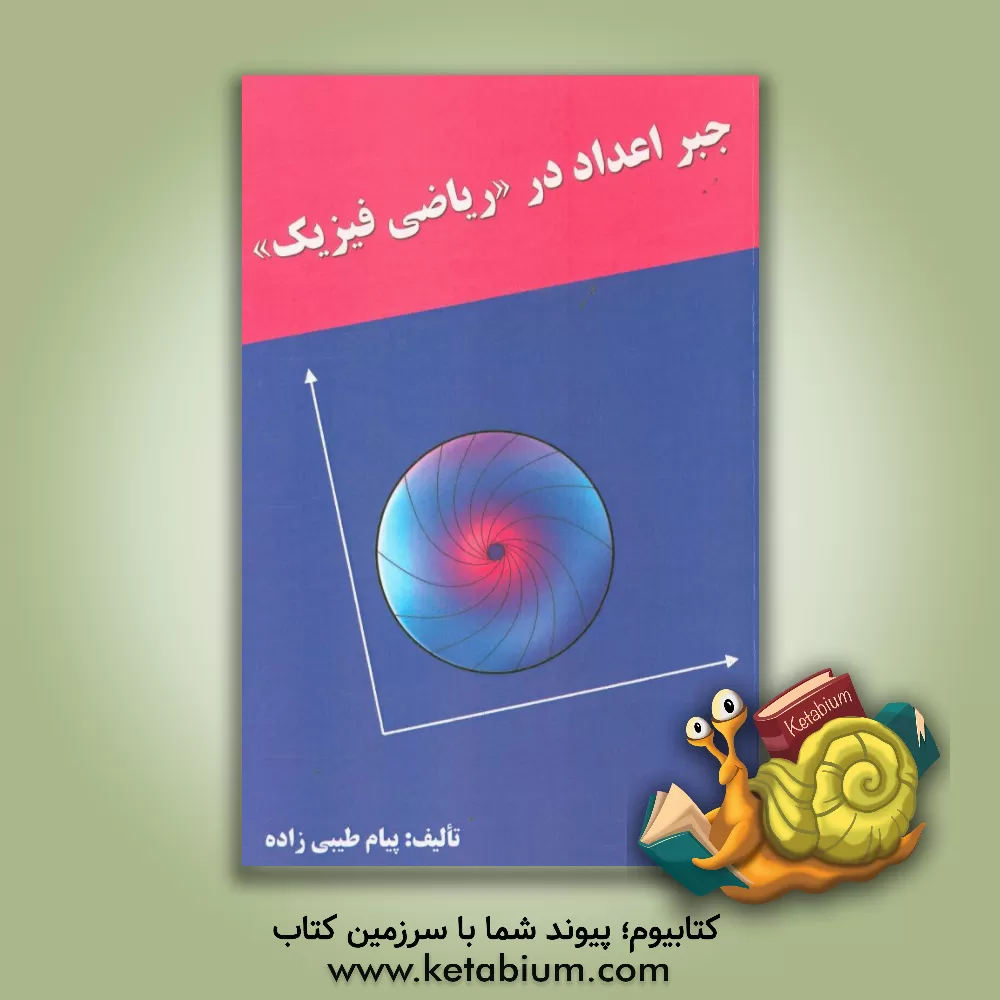 کتاب جبر اعداد در ریاضی فیزیک اثر پیام طیبی‌زاده