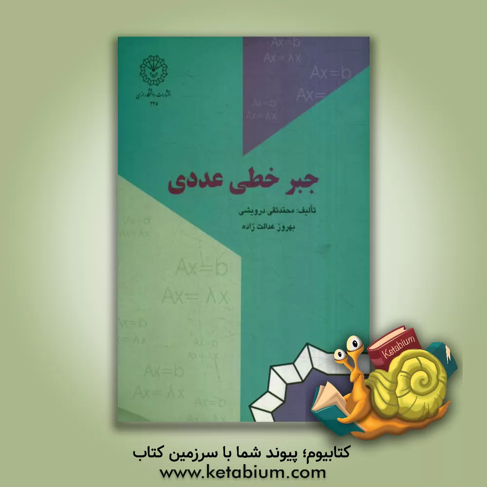 کتاب جبر خطی عددی اثر محمدتقی درویشی